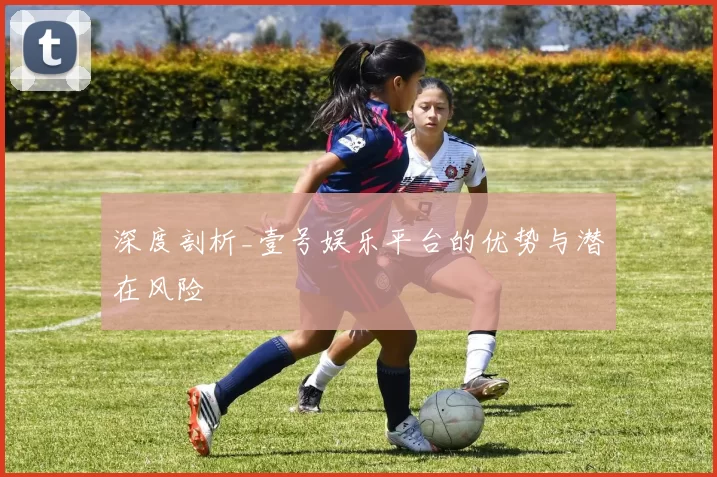 深度剖析_壹号娱乐平台的优势与潜在风险