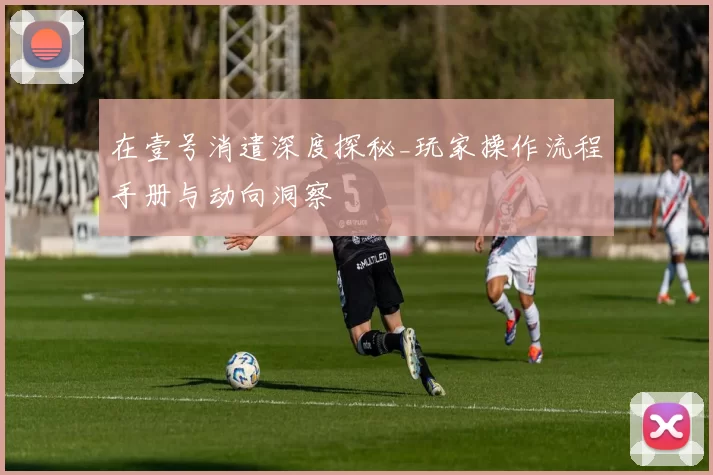 在壹号消遣深度探秘_玩家操作流程手册与动向洞察