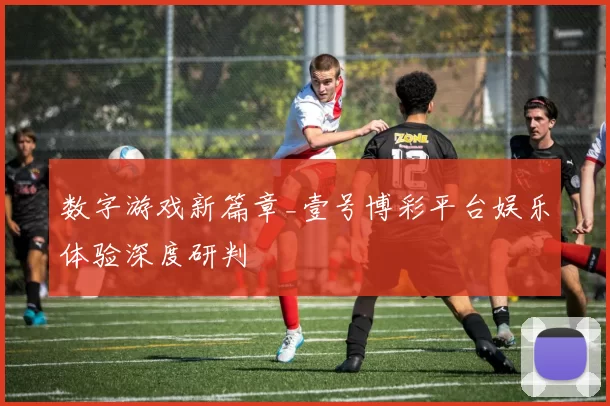 数字游戏新篇章_壹号博彩平台娱乐体验深度研判