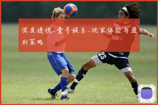 深度透视_壹号娱乐_玩家体验与盈利策略