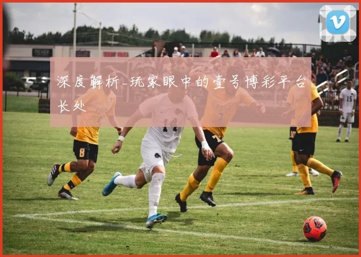 深度解析_玩家眼中的壹号博彩平台长处